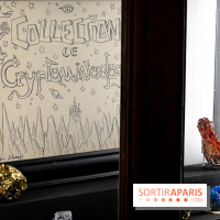 Codex on the Rocks, nos photos de l'expo au Musée de Minéralogie à Paris