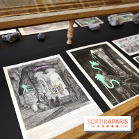 Codex on the Rocks, nos photos de l'expo au Musée de Minéralogie à Paris