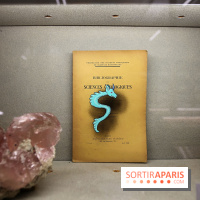 Codex on the Rocks, nos photos de l'expo au Musée de Minéralogie à Paris