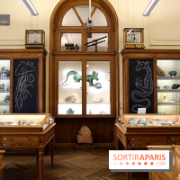 Codex on the Rocks, nos photos de l'expo au Musée de Minéralogie à Paris