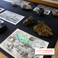 Codex on the Rocks, nos photos de l'expo au Musée de Minéralogie à Paris