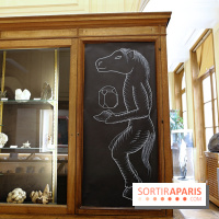 Codex on the Rocks, nos photos de l'expo au Musée de Minéralogie à Paris