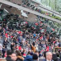 Le Carnaval de Venise s’invite à Paris le 1er février, à l’Hippodrome de Vincennes - BV 20241117151454BV  0489