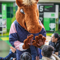 Le Carnaval de Venise s’invite à Paris le 1er février, à l’Hippodrome de Vincennes - BV BV1 6011