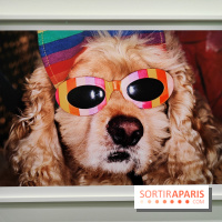 Global Warning : le photographe Martin Parr à l'honneur dans une exposition au Jeu de Paume - fotor 1769689947675