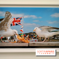 Global Warning : le photographe Martin Parr à l'honneur dans une exposition au Jeu de Paume