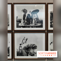 En ces lieux : la photographe contemporaine Jo Ractliffe expose au Jeu de Paume, nos images - fotor 1769690187588