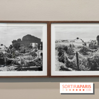 En ces lieux : la photographe contemporaine Jo Ractliffe expose au Jeu de Paume, nos images - fotor 1769690202910