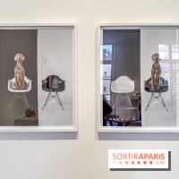 Exposition Un Siècle d'Echecs à la Galerie Perrotin