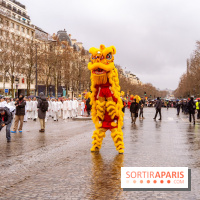 Défilé du Nouvel an chinois sur les Champs-Élysées 2026 - photos