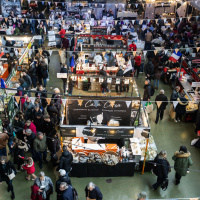 Carnavals de France à l’Hippodrome Paris-Vincennes : défilés, courses et Miss France 2026 - BV 20250209133647BV  3602