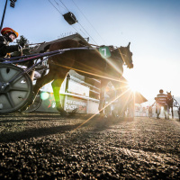 Carnavals de France à l’Hippodrome Paris-Vincennes : défilés, courses et Miss France 2026 - BVdV 2023 0212162607BV1 5460