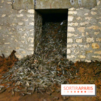 Les Caves du Roi, les mystérieux souterrains sous Sèvres