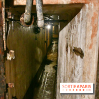 Les Caves du Roi, les mystérieux souterrains sous Sèvres