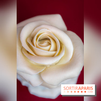 Saint-Valentin 2026 : la boulangerie - chocolaterie Pleincœur célèbre le mois de l'amour