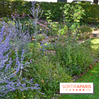 Le jardin des cinq sens à Pontoise, un lieu bucolique et sensoriel !