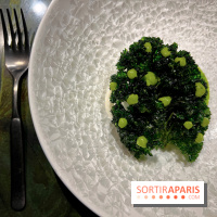 Mantra - Chou rave, kale, coco fermentée, crevettes