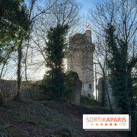Ile-de-France : La Tour de Montlhéry au panorama unique sur l'Essonne - Flow IMG 20260208 152844 01 125