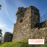 Ile-de-France : La Tour de Montlhéry au panorama unique sur l'Essonne - IMG 0595