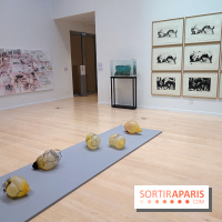 Exposition Contraste et indifférence au Centre culturel canadien - nos photos