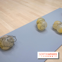 Exposition Contraste et indifférence au Centre culturel canadien - nos photos