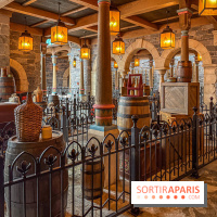 Frozen Ever After : l'attraction La Reine des Neiges à Disneyland Paris - IMG 3815