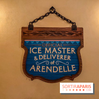 Frozen Ever After : l'attraction La Reine des Neiges à Disneyland Paris - IMG 3827