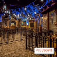 Frozen Ever After : l'attraction La Reine des Neiges à Disneyland Paris - IMG 3836