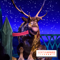 Frozen Ever After : l'attraction La Reine des Neiges à Disneyland Paris