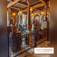 Frozen Ever After : l'attraction La Reine des Neiges à Disneyland Paris - IMG 3816