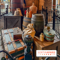 Frozen Ever After : l'attraction La Reine des Neiges à Disneyland Paris - IMG 3817