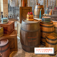 Frozen Ever After : l'attraction La Reine des Neiges à Disneyland Paris - IMG 3818