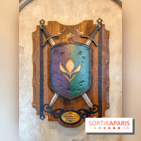 Frozen Ever After : l'attraction La Reine des Neiges à Disneyland Paris
