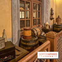 Frozen Ever After : l'attraction La Reine des Neiges à Disneyland Paris - IMG 3828