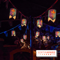 Frozen Ever After : l'attraction La Reine des Neiges à Disneyland Paris - IMG 3837