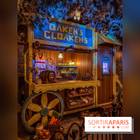 Frozen Ever After : l'attraction La Reine des Neiges à Disneyland Paris