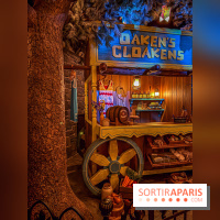 Frozen Ever After : l'attraction La Reine des Neiges à Disneyland Paris - IMG 3840