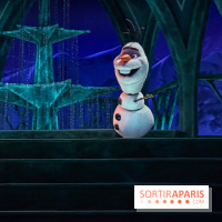 Frozen Ever After : l'attraction La Reine des Neiges à Disneyland Paris