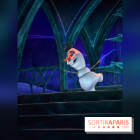 Frozen Ever After : l'attraction La Reine des Neiges à Disneyland Paris