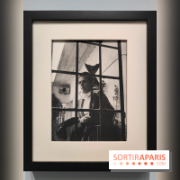 Leonora Carrington, l'exposition onirique d'une artiste surréaliste au musée du Luxembourg, photos - fotor 1771255375376