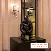 Exposition gratuite au Plaza Athénée : le bestiaire de Michel Bassompierre s'invite au palace - IMG 3878