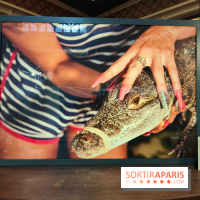 All Inclusive : la photographe Kourtney Roy interroge le tourisme dans une exposition à Citéco - fotor 1771496691011