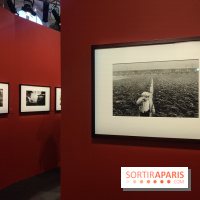 Sebastião Salgado au cœur d'une exposition de photos gratuite à l'Hôtel de Ville de Paris