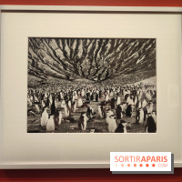 Sebastião Salgado au cœur d'une exposition de photos gratuite à l'Hôtel de Ville de Paris