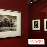Sebastião Salgado au cœur d'une exposition de photos gratuite à l'Hôtel de Ville de Paris - fotor 1771520444468
