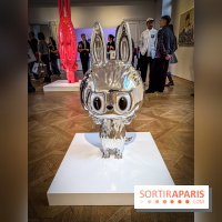 Exposition Labubu à Paris : THE MONSTERS fête ses 10 ans lors d’une rétrospective - IMG 4241
