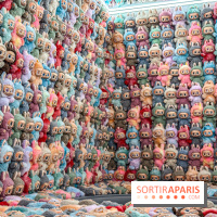 Exposition Labubu à Paris : THE MONSTERS fête ses 10 ans lors d’une rétrospective - IMG 4301