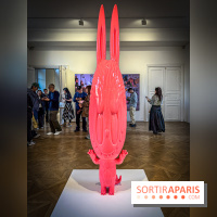 Exposition Labubu à Paris : THE MONSTERS fête ses 10 ans lors d’une rétrospective - IMG 4308