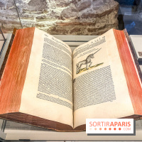 Licornes ! : l’exposition du Musée de Cluny à Paris explore le mythe de la créature légendaire