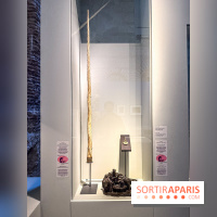 Licornes ! : l’exposition du Musée de Cluny à Paris explore le mythe de la créature légendaire